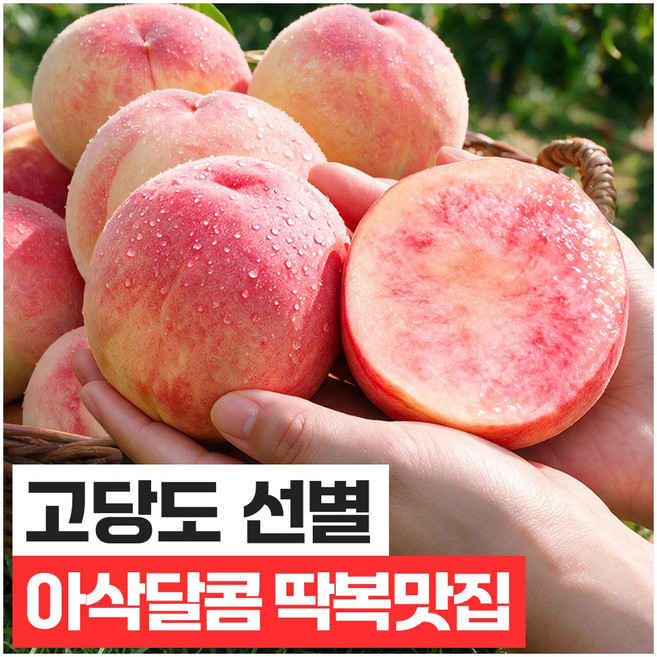 푸드지 산지직송 아삭달콤 딱딱이 복숭아, 1박스, 대과 5kg