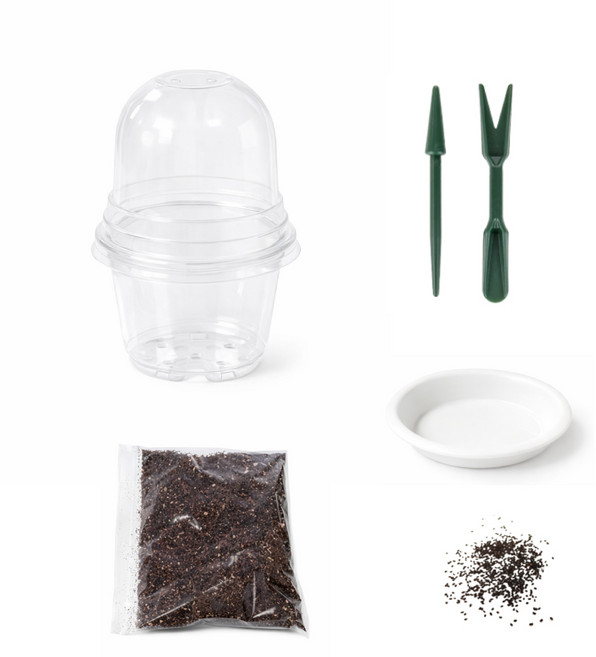 미니 온실 화분 재배 세트 (상토/바질씨앗/모종이식도구 포함), 1개