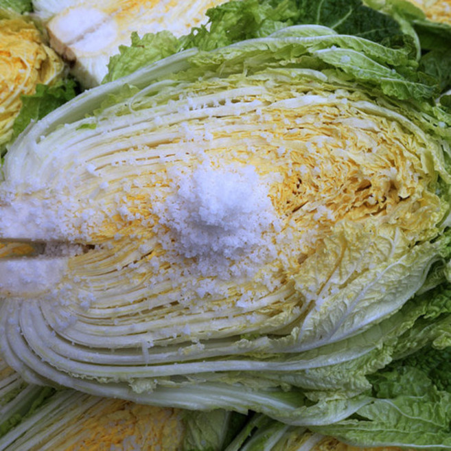 해남 절임배추 20키로 (7-10포기) 김장절인배추 (고객센터문의 010-5015-5716 ), 2일소요, 1박스, 20kg