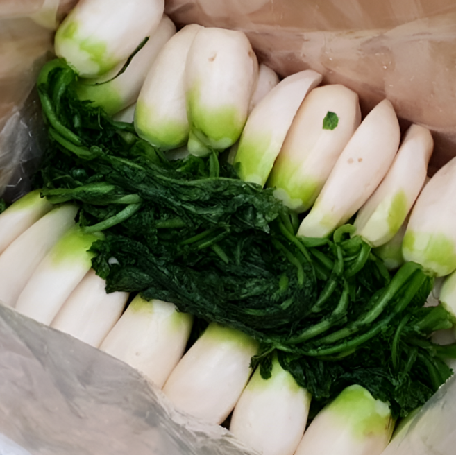 8위 - [해풍농원]국내산 절임 알타리무, 1박스, 3kg