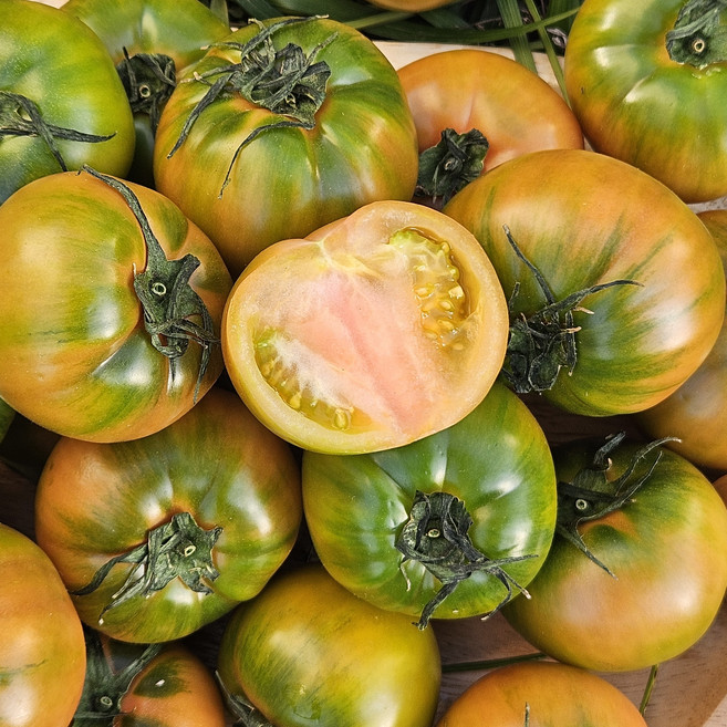 농장직송 대저토마토 짭짤이, 1박스, 못난이 (랜덤과) 5kg