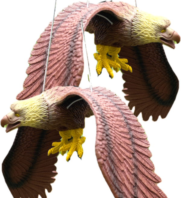 쿠리풀 비둘기 조류퇴치 독수리 모형 브라운, 2개