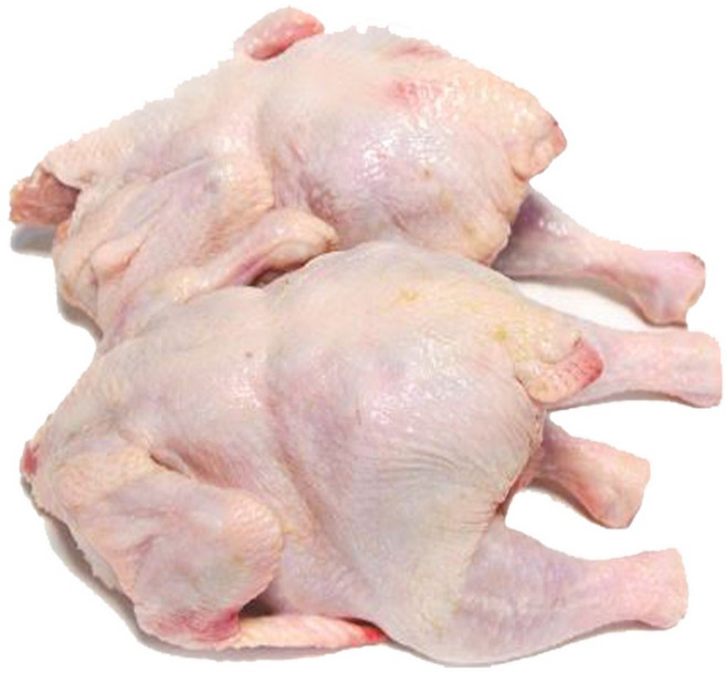 국내산 성계닭 산란닭 육수용닭 닭개장 국내산 냉동닭 큰닭 1300g, 2개