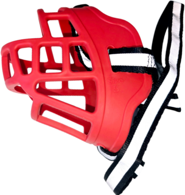 도다인몰 대형견 중형견 소형견 반사판 스트랩 실리콘 입마개, Red04, 1개