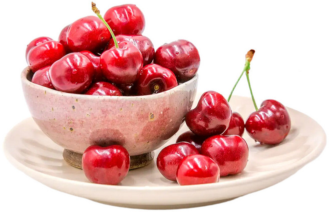 프리미엄 생 체리 고당도 칠레산 미국산, 1개, 생 체리 5kg (9-9.5R) 로얄특
