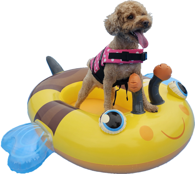 개인싸 강아지 꿀벌 애견 튜브(파우치증정), 1개