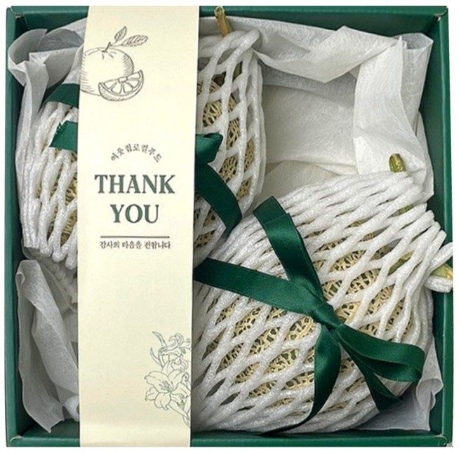 프리미엄 멜론 선물세트, 1세트, 2kg 내외 (2수)