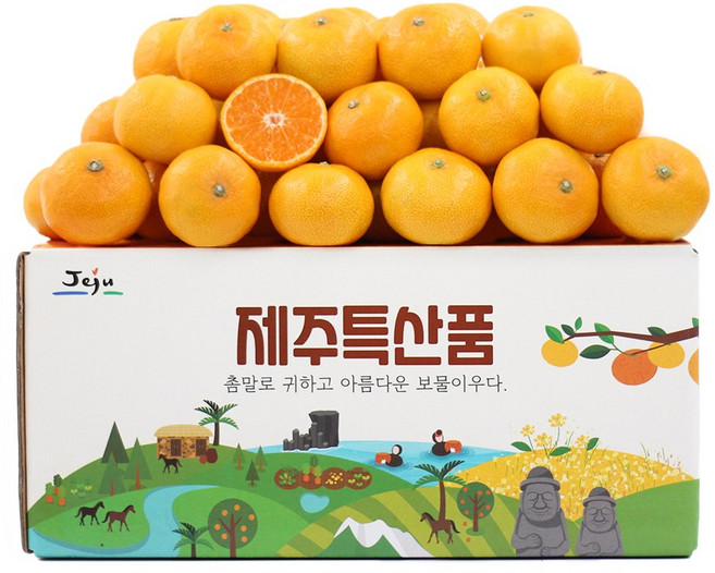 천하일품 서귀포 제철 감귤, 1개, 08.감귤 5kg 중대과(L/2L)