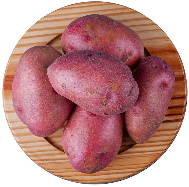 나주 세척 꿀 밤 고구마 베니하루카, 1박스, 세척고구마 5kg 특상