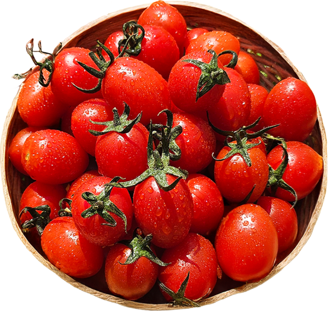 산지직송 국내산 대추 방울토마토, 1개, 4kg