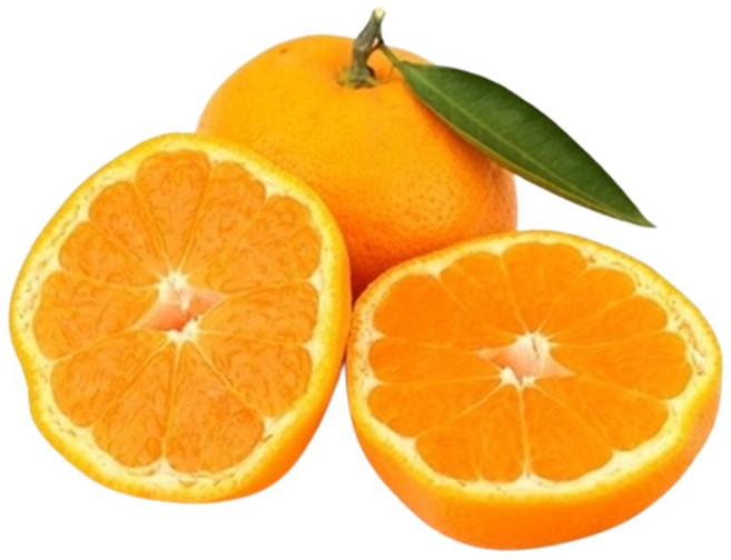 제주감귤 대용량 5kg 10kg 극조생 정품 하우스 오렌지 산지직송, 1개, 제주 극조생귤 10kg 대과(2L)