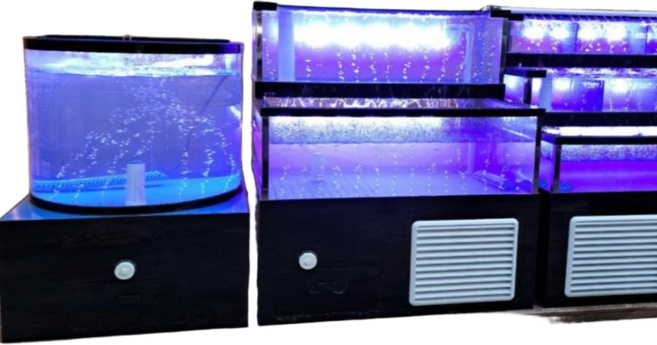 1200x700x1300 활어 수족관 수조 주문제작 횟집 업소용 2단 3단, 1개, 주문제작작