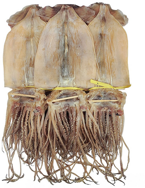 염분을제거한 국내가공 저염 마른 오징어 건오징어 20마리 1축, 원양 국내가공 저염 2.3kg 내외, 1개