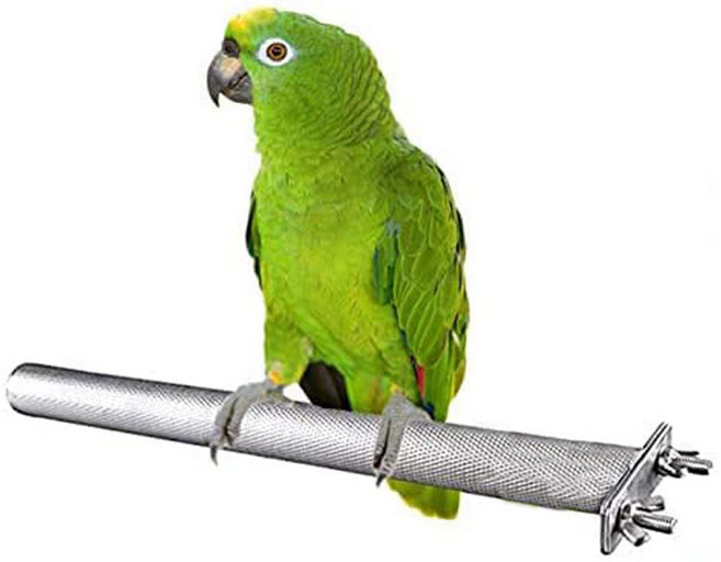 스테인리스 스틸 발톱갈이 횟대, 15+20cm, 2개