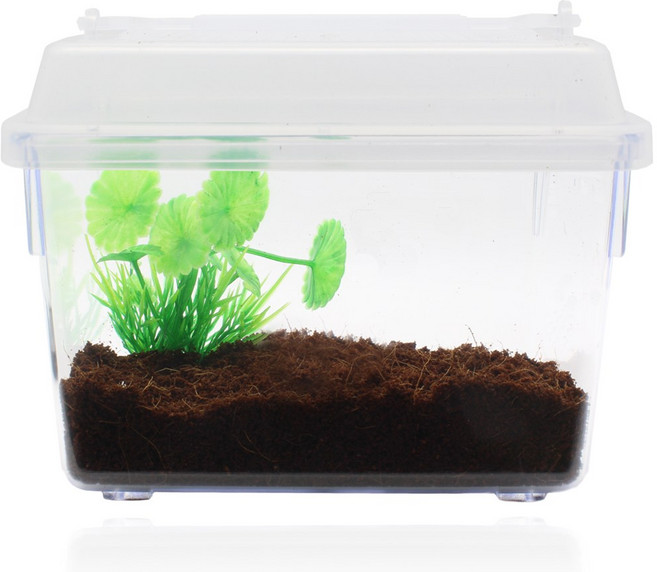 벅스앤미 휴대용 채집통세트 ( 곤충 사슴벌레 달팽이 사마귀 귀뚜라미 전용 ), 화이트, 1세트