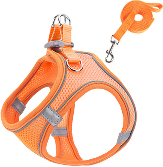 도매짱 고양이하네스 고양이목줄 고양이 전용 산책줄 가슴줄, 오렌지, 1개