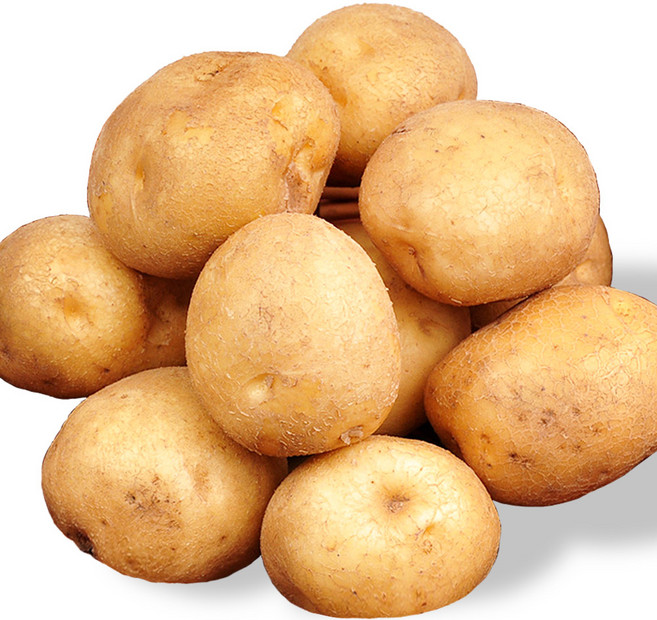 [푸르젠] 포슬포슬 감자, 1개, 감자 5kg (중)