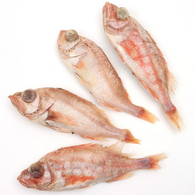 적어 23~25cm내외 4마리 진공포장 아까무스 빨간고기 장문볼락, 1개, 1kg
