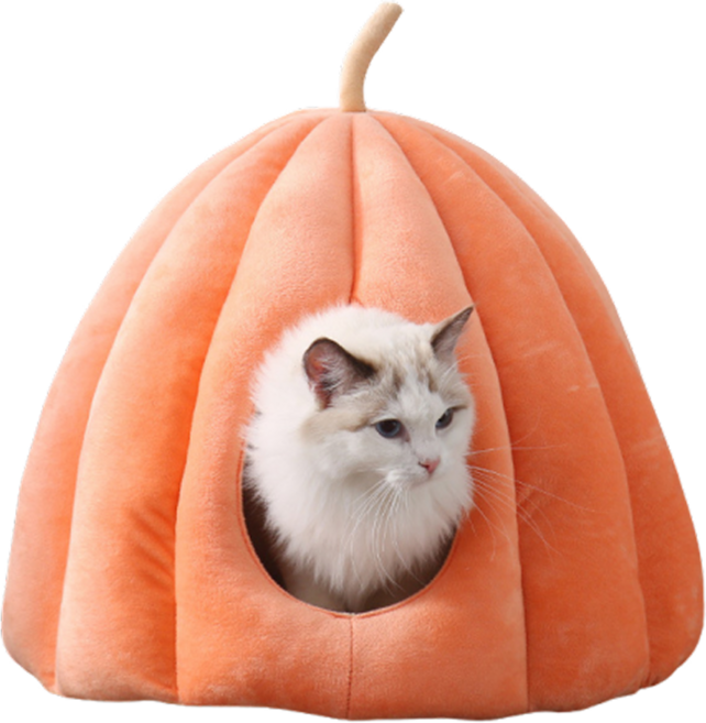 옥희독희 고양이 극세사 호박 숨숨집 하우스, 오렌지, 1개