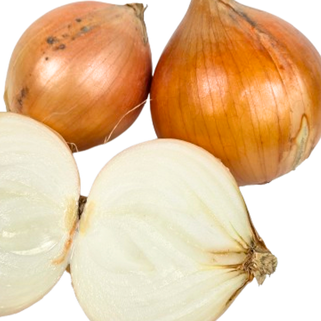 [사계농산]속이 꽉찬 전남 무안 국내산 양파, 1박스, 소(장아찌용) 2kg