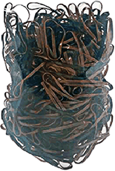 쉬즈라인 TPU 고무밴드 500p, 검정 + 갈색, 1개