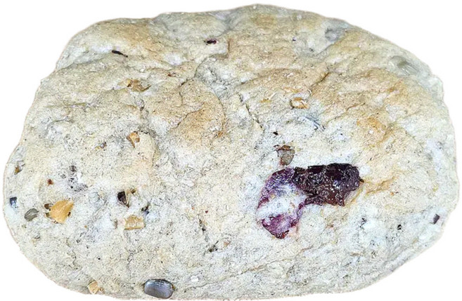 통밀정원 새싹 발아 통밀빵 견과빵 450g 국산 통밀 100% 소화가 잘되는빵 식사대용 건강한 먹거리 무방부제 무유화제 무팽창제, 5개, 90g