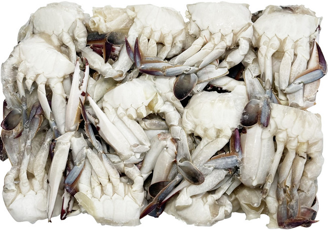 [굿챈스]살꽉찬 손질절단꽃게 1박스 5.4kg(450gx12개) 업소용, S, 1개, 1BOX - 5.4kg