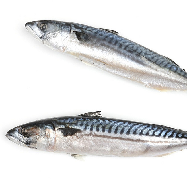 노르웨이 냉동고등어 원물 고등어 조림용 구이용, 4개, 400~600g