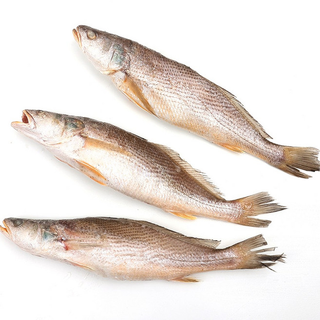 자갈치닷컴 민어조기(몽실이) 4P 29~31cm전후 48마리전후, 1박스