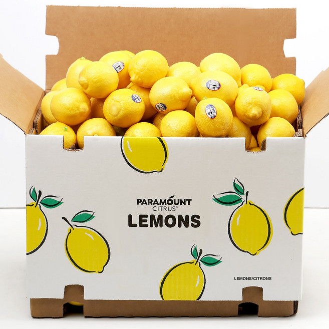 장보남 레몬 10kg(80-125과내외) 대용량, 1박스, 10kg