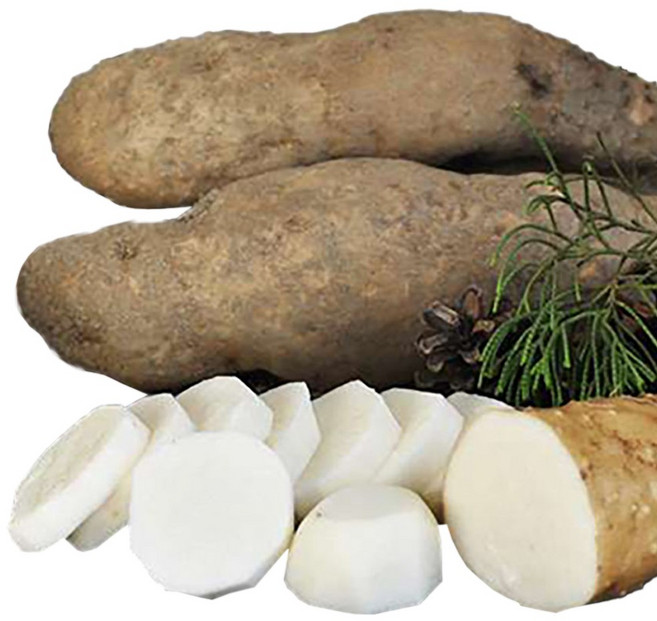 안동마 참마 마사토 산마 5kg 3kg [산지직송] 마 안동참마 생마 / 산들정, 1개, 5kg (알뜰)