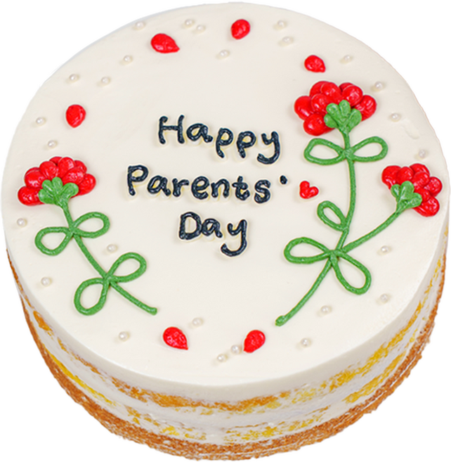 (평일 낮 12시전 주문 오늘출발) 케익팩토리 스위트카네이션, 1개, 420g