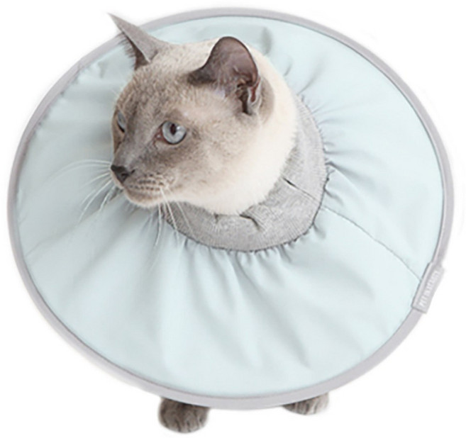 펫인뷰티 제로 넥카라, 민트, 1개