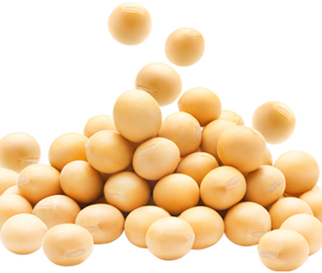 백태 수입콩(미국산) 4.5kg 수입산 원적외선 빛살균 살균한콩 백태 메주콩/콩국수콩/두부콩, 4.5kg(1개), 1개