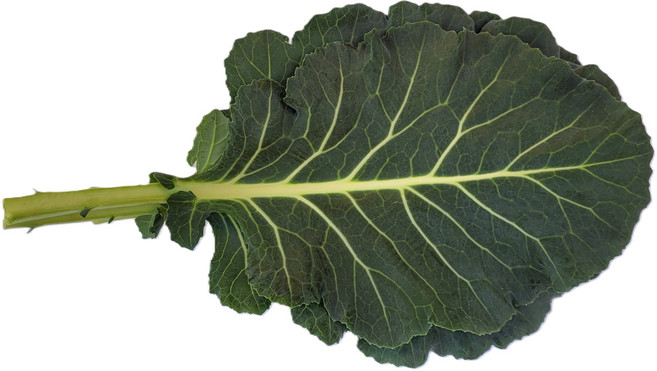 야채왕 쌈케일 중량별 300g 1kg 2kg 1박스 ( 실중량 1.8k - 2.0k ), 쌈케일1kg, 1개