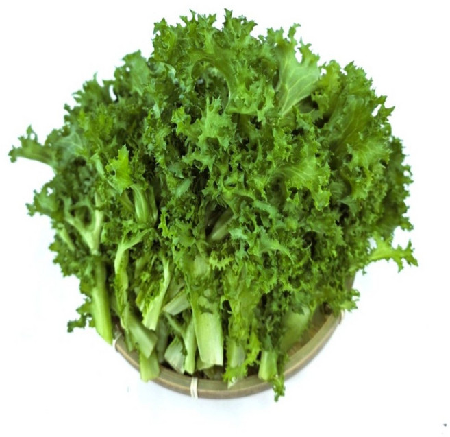 치커리 300g, 1개