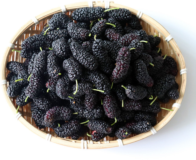 25년 햇 청일오디 5kg 급냉 특품 햇오디 나주오디, 청일오디 5kg 급냉상품, 1개