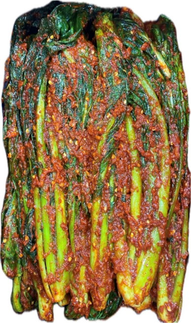 100% 국산 돌산갓 명품 프리미엄 사랑 갓김치, 1개, 10kg