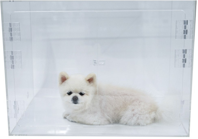 [CU메디칼] 아크릴산소방 단품 / 강아지 고양이 네블라이저방 가능 / 주문제작 가능, 기본사이즈(기본형)+펫도어추가, 1개