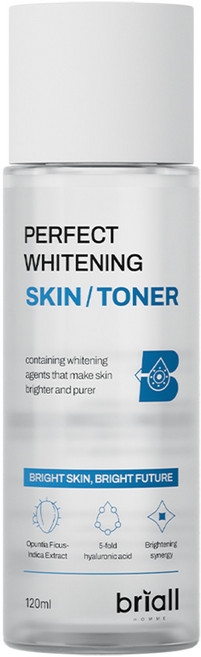 브리올옴므 퍼펙트 화이트닝 스킨 남성 스킨/토너, 1개, 120ml