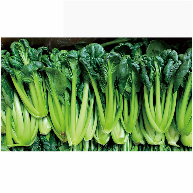 야채왕 비타민 2kg (실중량 1.8k~2.0k ) 다채 비타민 채소 이유식, 2000g, 1개