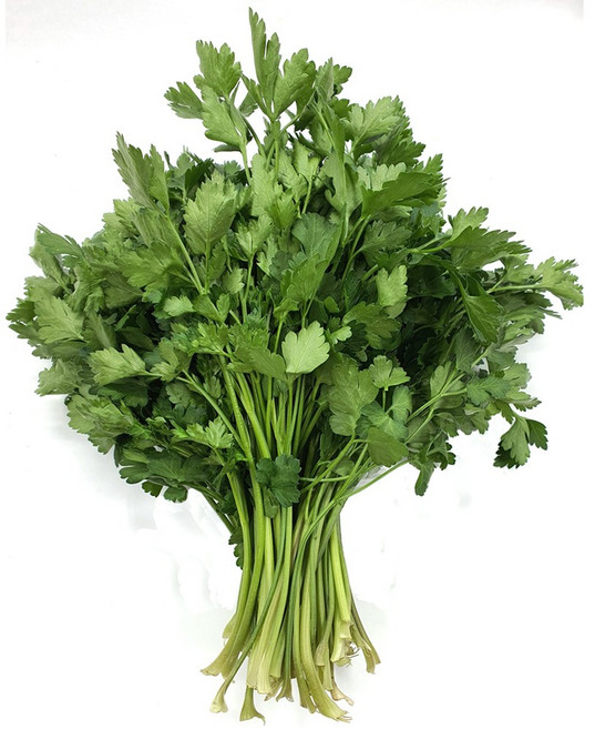 야채왕 이태리 파슬리 향나물 300g 이탈리안 파세리, 1개