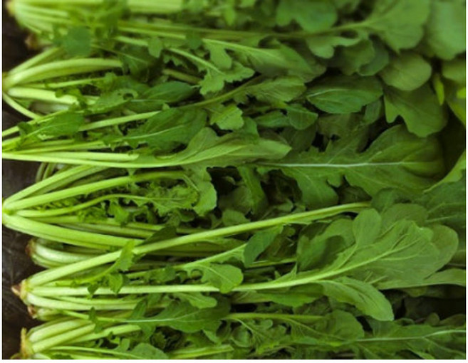 야채왕 루꼴라 로케트 1kg (0.9k~1.0k) 박스, 1개