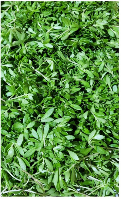 야채왕 돌나물 돗나물 돈나물 4kg(3.8~4kg) 박스, 4kg, 1개