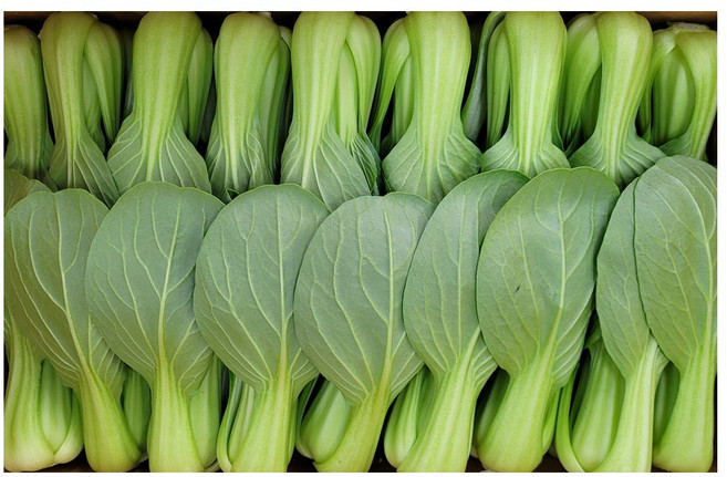 야채왕 싱싱한 청경채 중량별 200g/500g/1kg/2kg/4kg 1개, 2kg