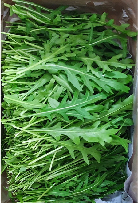 야채왕 와일드 루꼴라(베이비루꼴라) 중량별, 와일드 루꼴라1kg, 1개