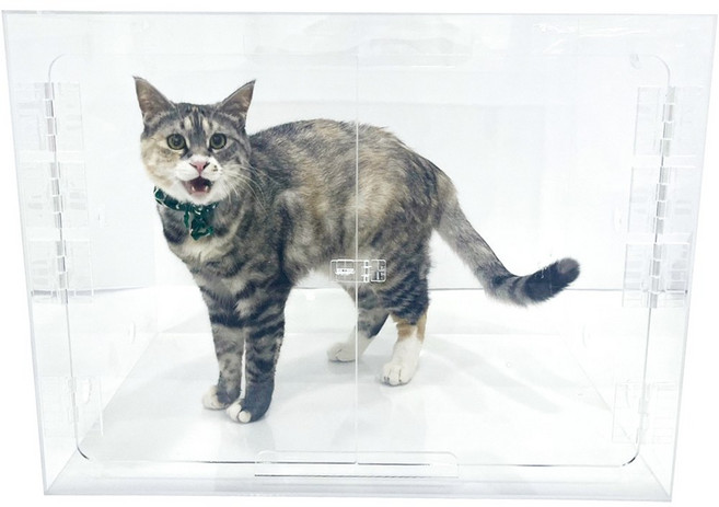 [CU메디칼] 아크릴산소방 단품 / 강아지 고양이 네블라이저방 가능 / 주문제작 가능, 기본사이즈(기본형 3T), 1개