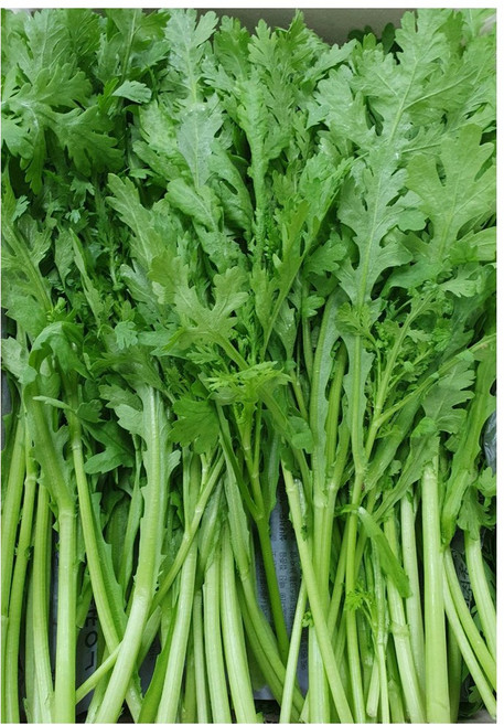 야채왕 싱싱한 쑥갓 4kg(3.8~4kg) 박스, 1개