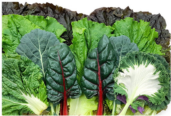 야채왕 모듬쌈 1kg (채소 랜덤), 1개