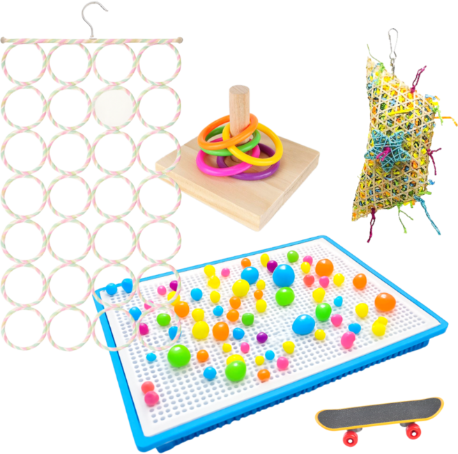 르브아 앵무새 놀이터 세트, 장난감B, 1세트